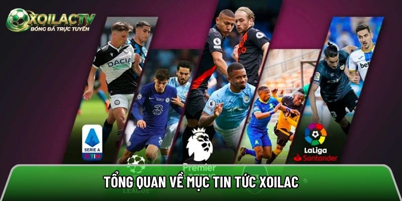 Giới thiệu về mục tin tức nơi chuyên cập nhật các tin siêu hot